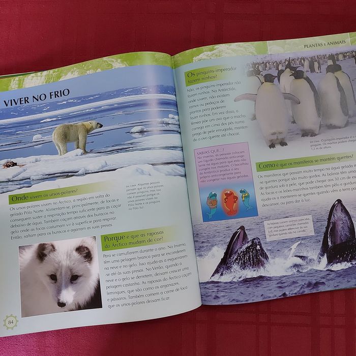 A Enciclipédia do Conhecimento NOVA