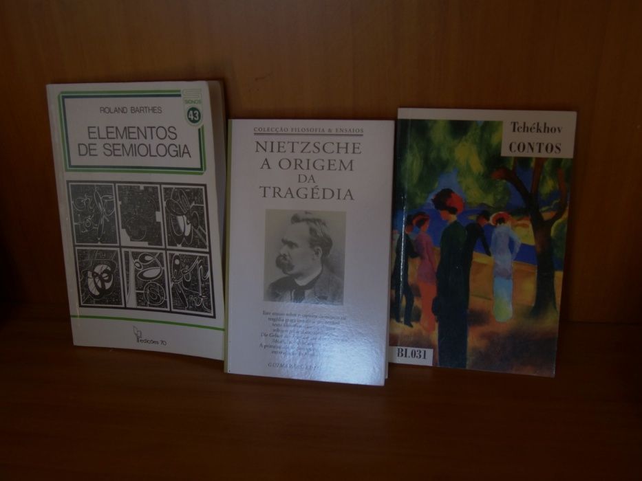 Livros (Roland Barthes, Nietzsche,Tchekhov)