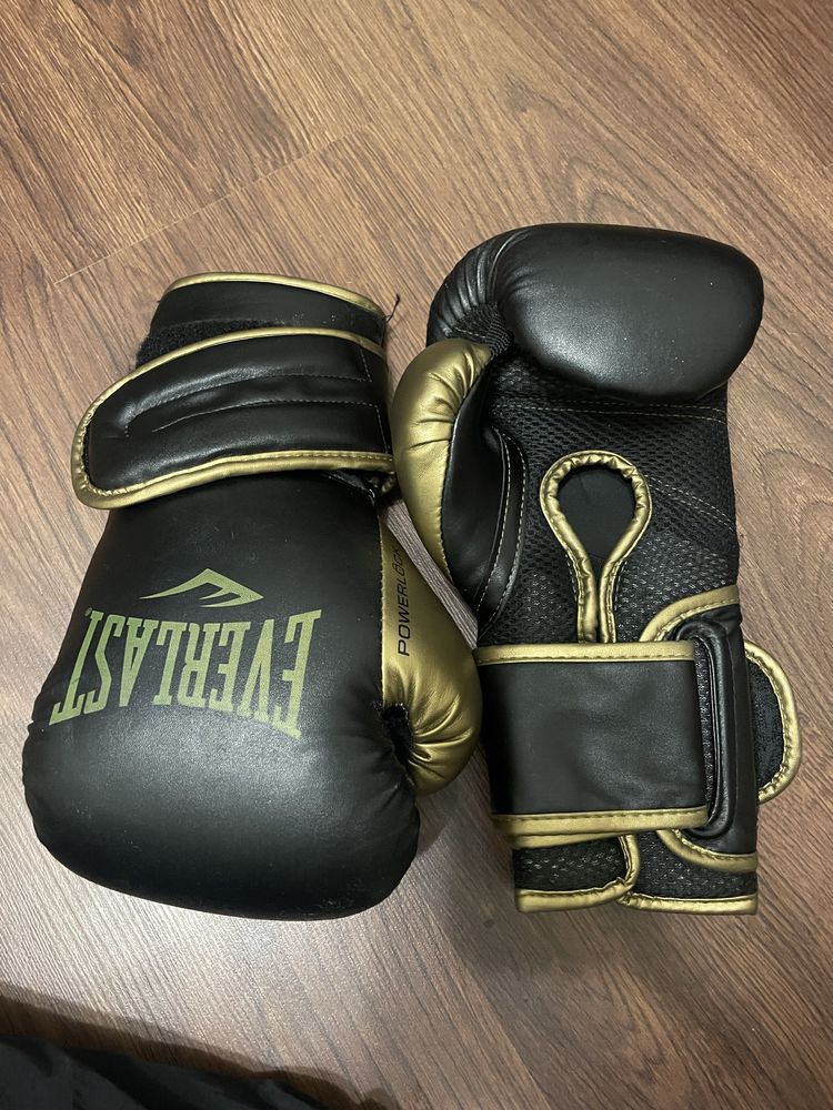Боксерські рукавиці EVERLAST