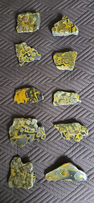 Pedra Bumblebee Orbicular