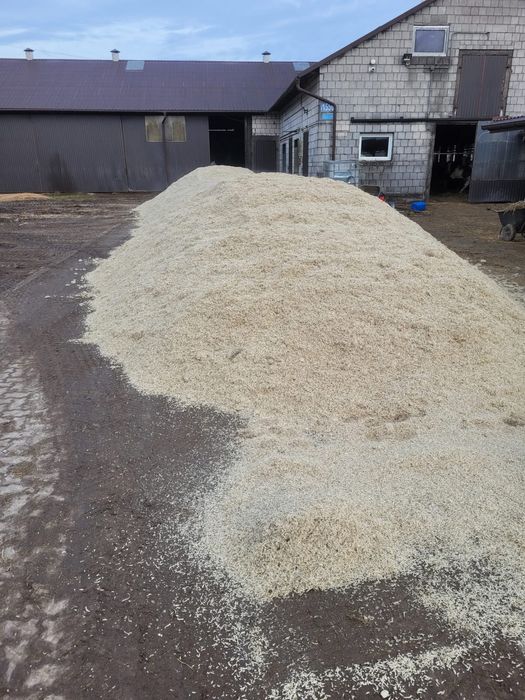 Wysłodki buraczane prasowane polskie 25-26t