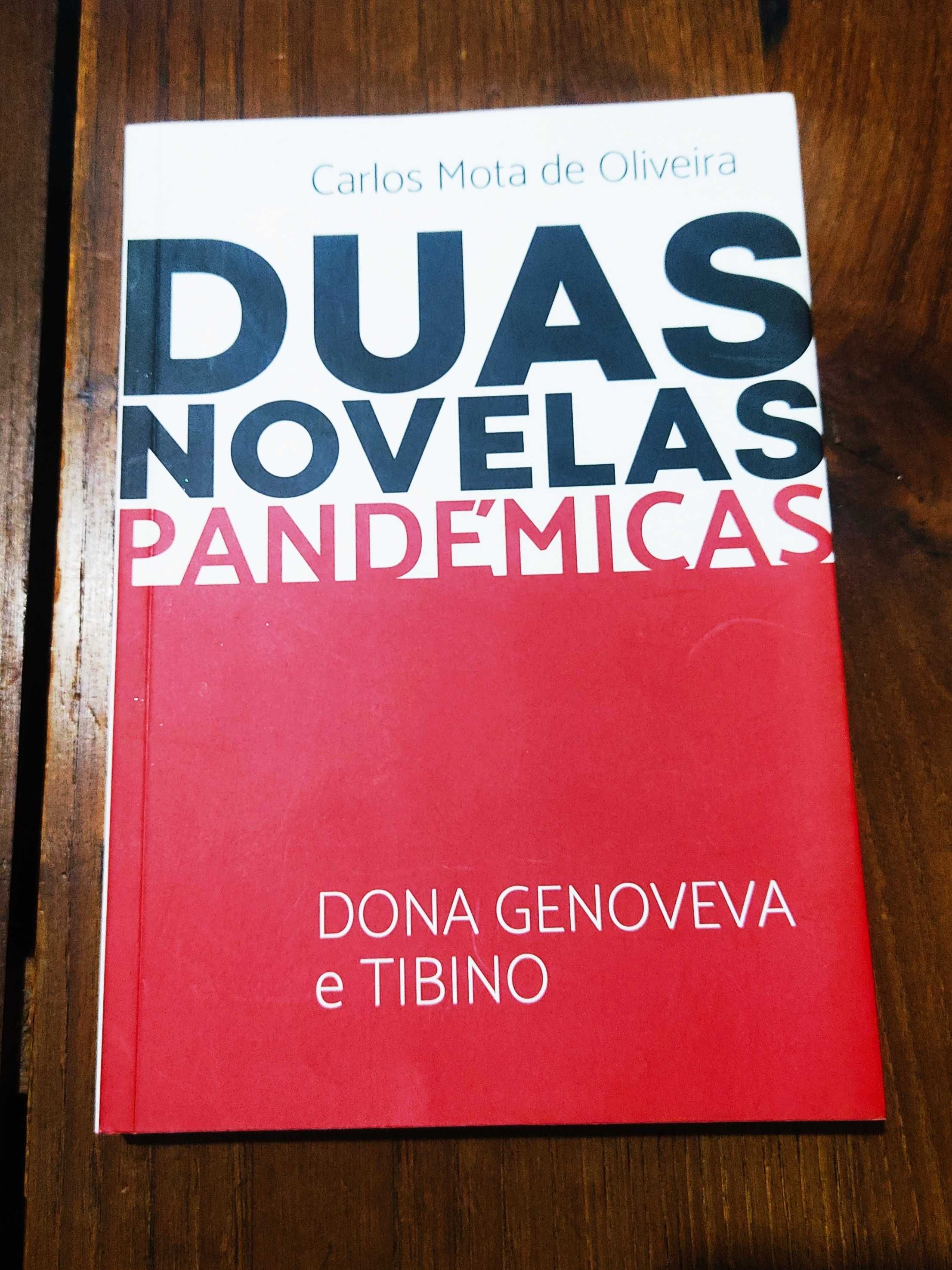 Carlos Mota de Oliveira - Duas Novelas Pandémicas