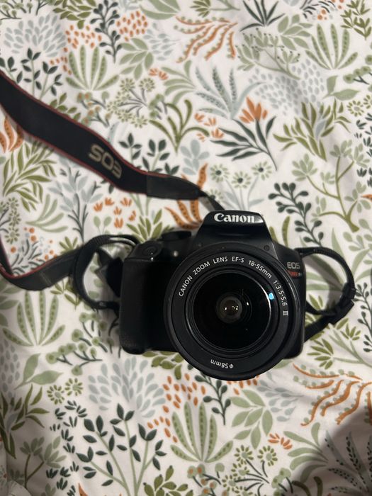 Canon EOS Rebel T6 Lente 18-55mm Lente Macro 100mm f/2.8
