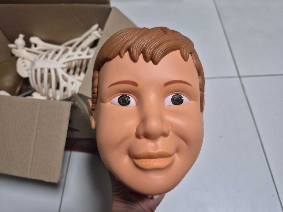 Скелет Артём, Собери тело человека (почти все  детали)