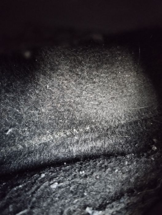 Черевики осінні horton