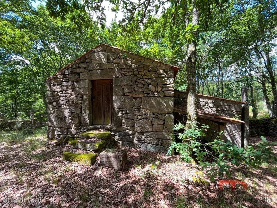 Quintinha T2 Venda em Cambra e Carvalhal de Vermilhas,Vouzela