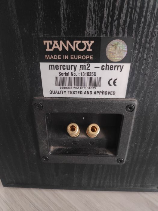 Kolumny Tannoy M2