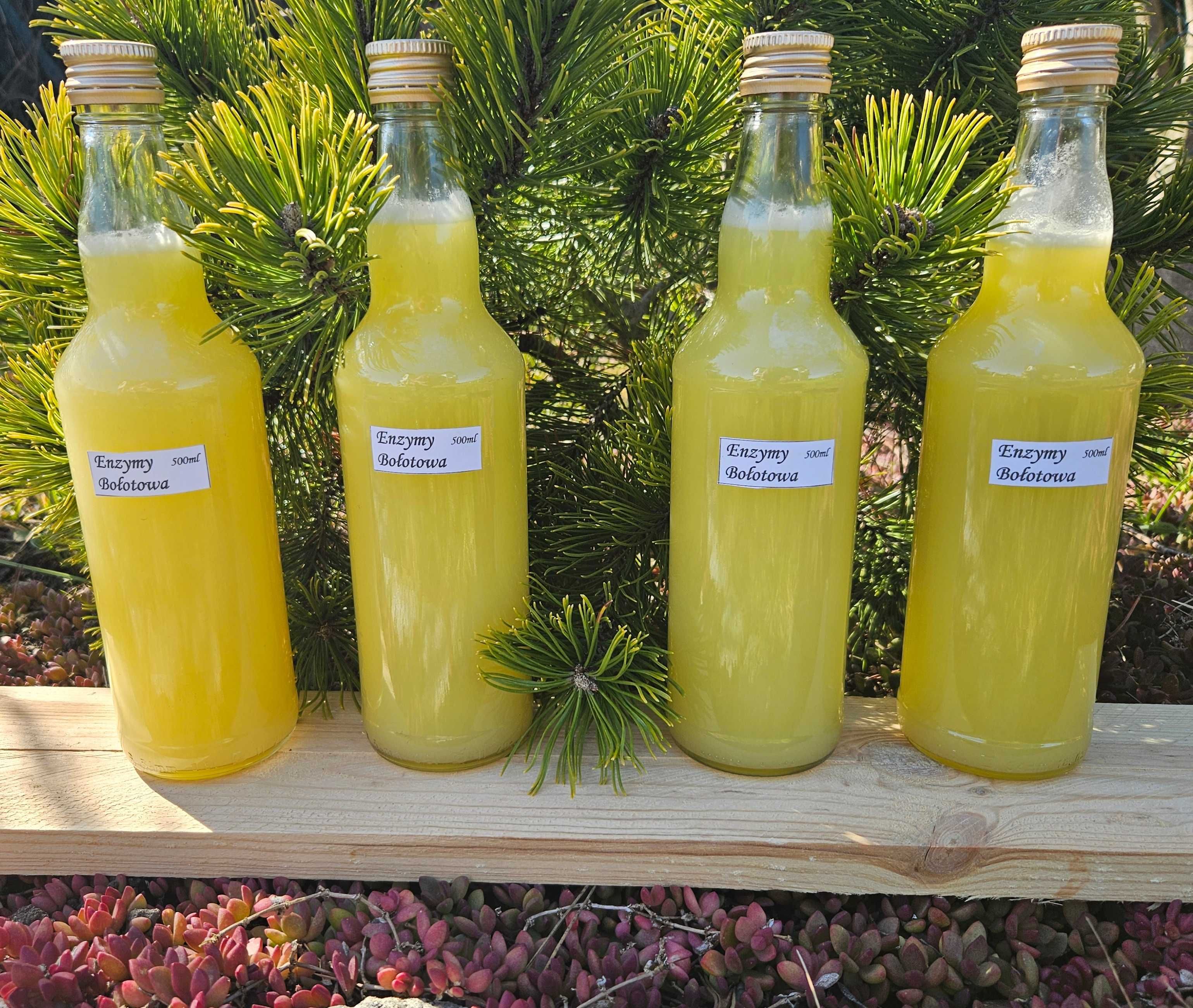 Kwas Enzymy Bołotowa na koziej serwatce 4x500ml 2 litry