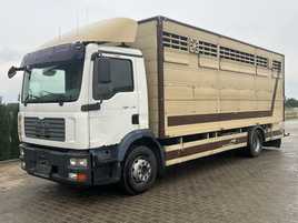 Man TGM 12.280 ( do bydła , żywca , zwierząt ) PLAVAC