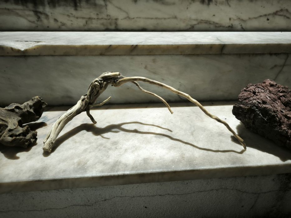 Troncos e rocha vulcânica para aquário e terrário