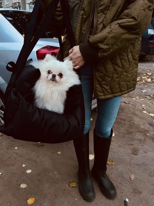 Сумка для собак животных лежак переноска автокресло