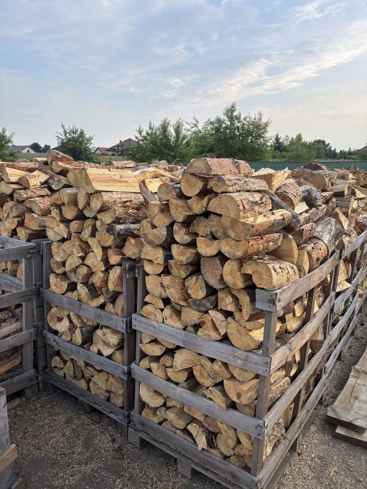 Drewno opałowe-kominkowe Sosna drzewo
