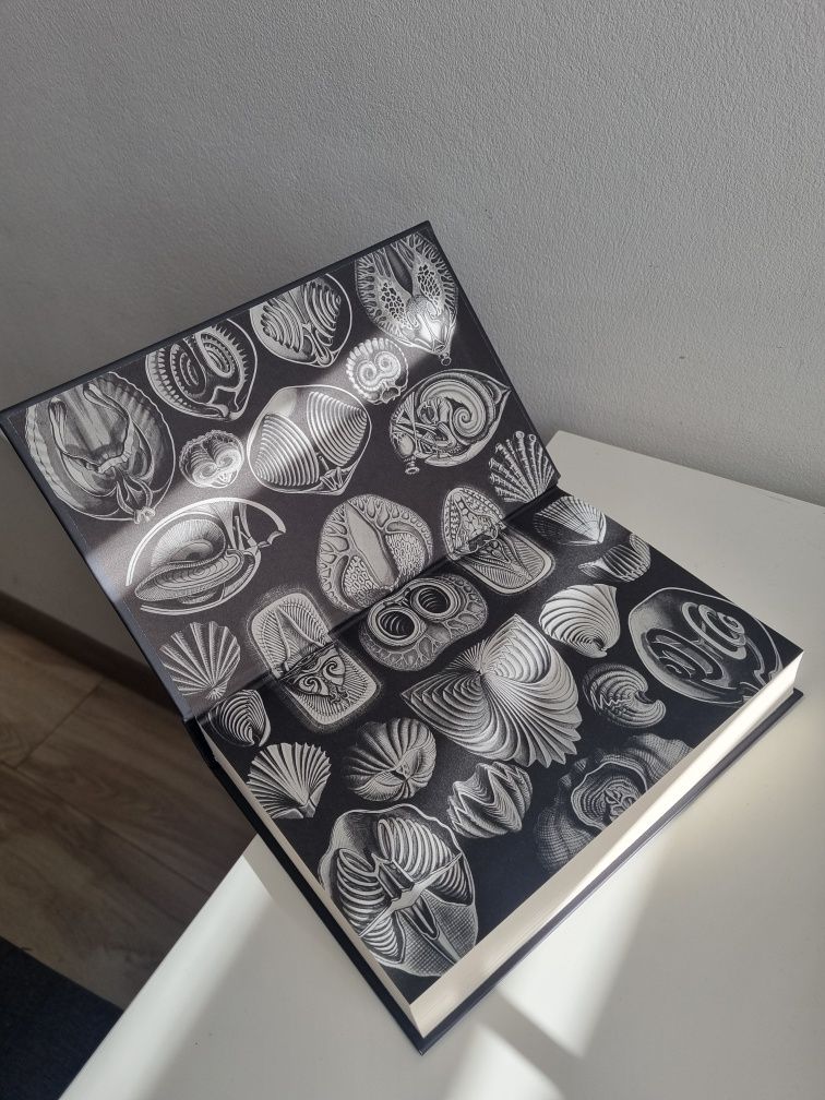 Anomalia - Jeff VanderMeer