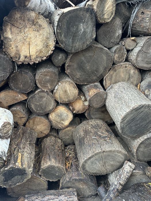 Drzewo drewno lisciaste do kominka opałowe palenisko grill