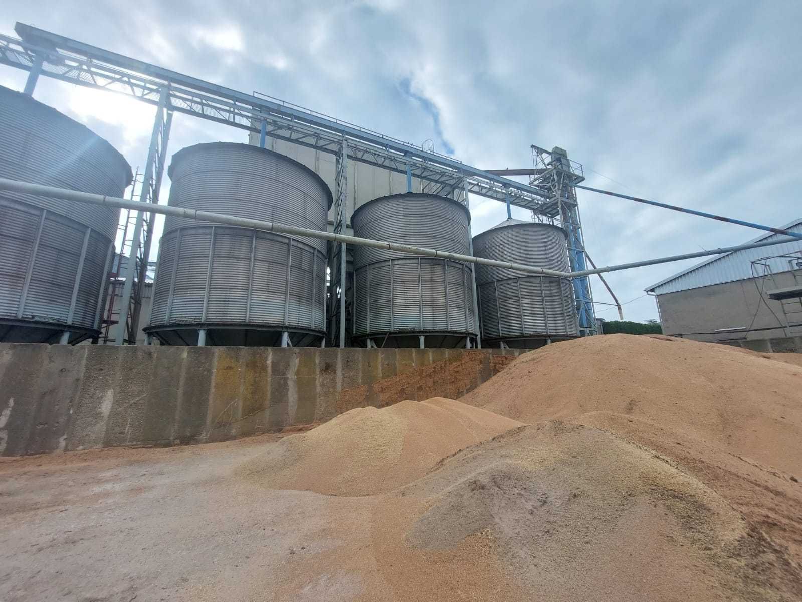 Silosy Petkus  150 ton