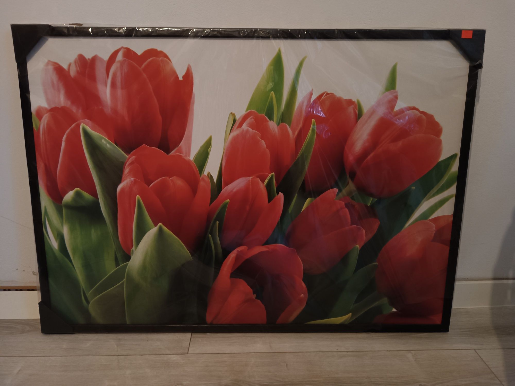 Obraz w drewnianej ramie czerwone tulipany 103x73