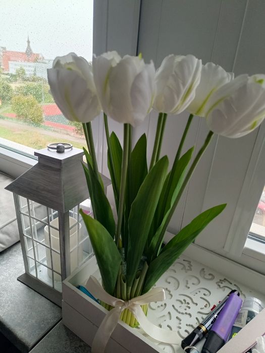 Kompozycja z tulipanów bislych