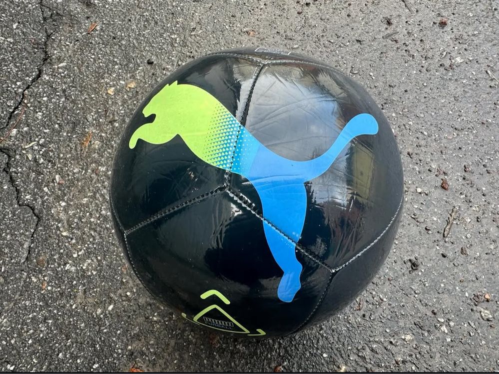 М'яч футбольний Puma Icon