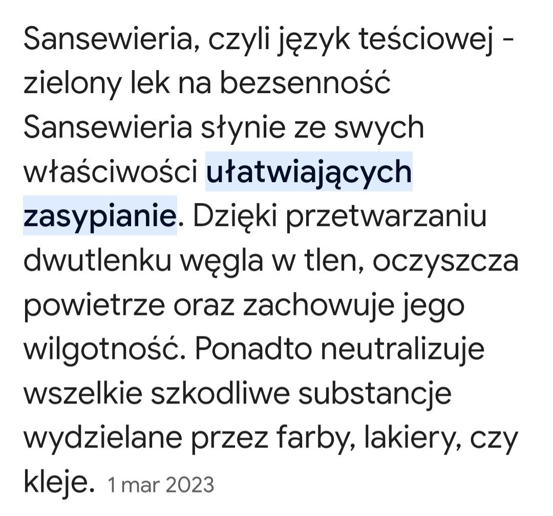 Kwiat Sansieviera niska języki teściowej