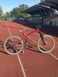 Trek remedy 7 2022 jibber