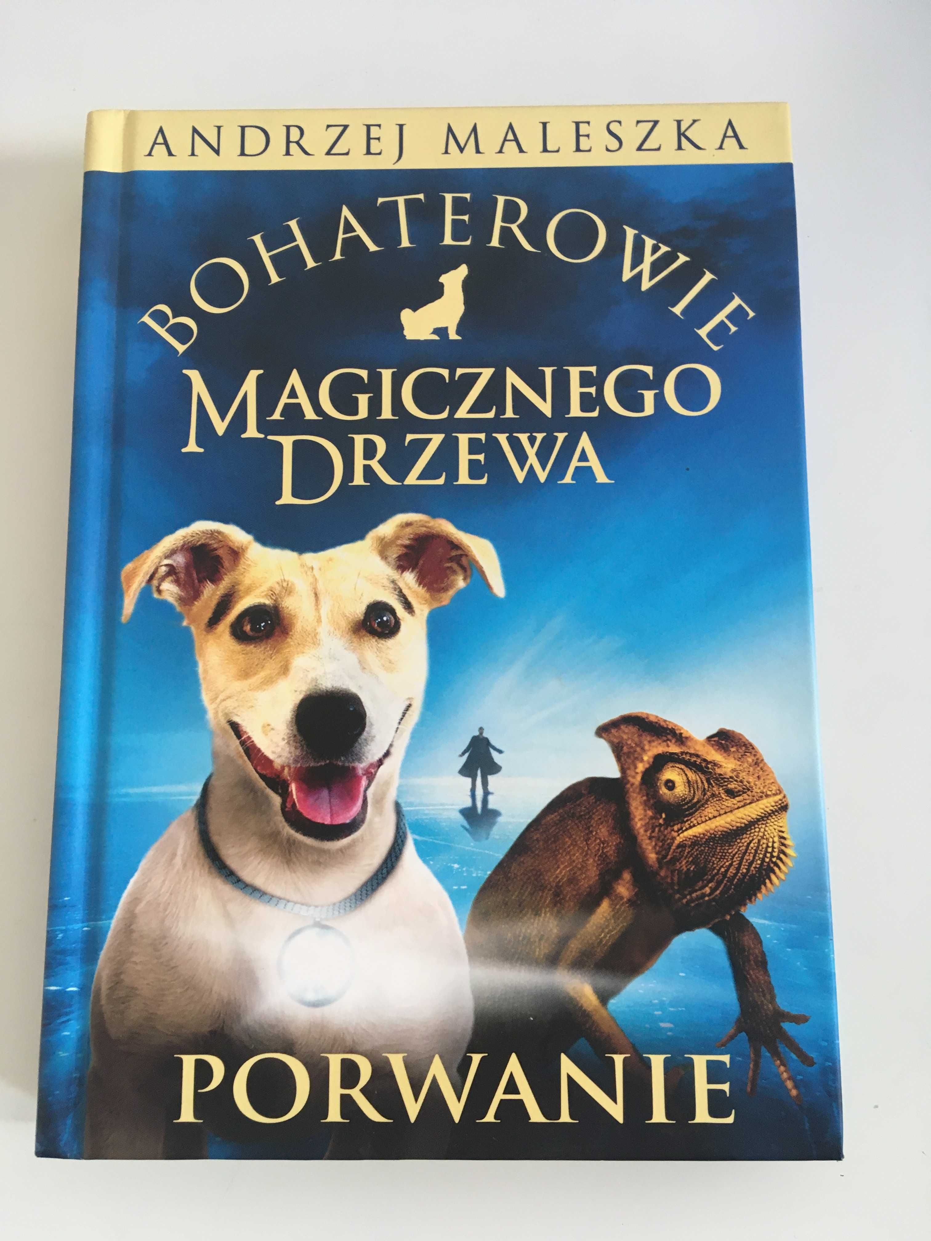 Czerwone Krzesło - bohaterowie - Porwanie