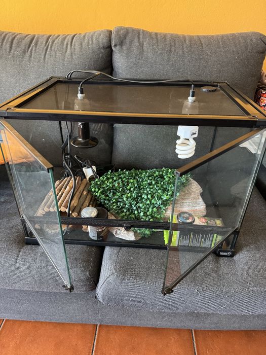 Terrario para Repteis