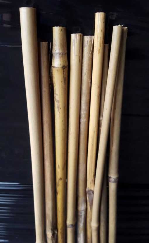 Bambu Tutor (NOVO)