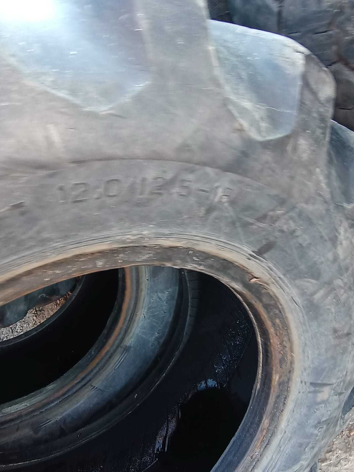 Opony przemysłowe 12.0/12.5-18 Firestone koparko ładowarka JCB Case MF