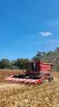 Case 2188 com frente geringhoff - 8 linhas
