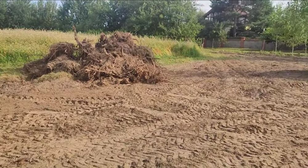 Вивіз коріння Чистка ділянки спуск дерев