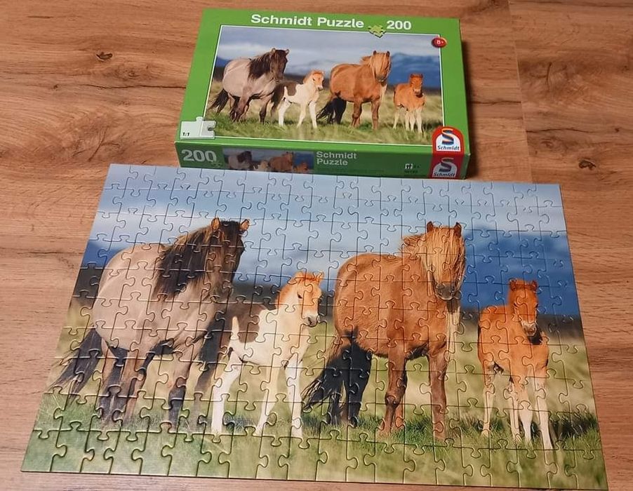 Puzzle -konie używane