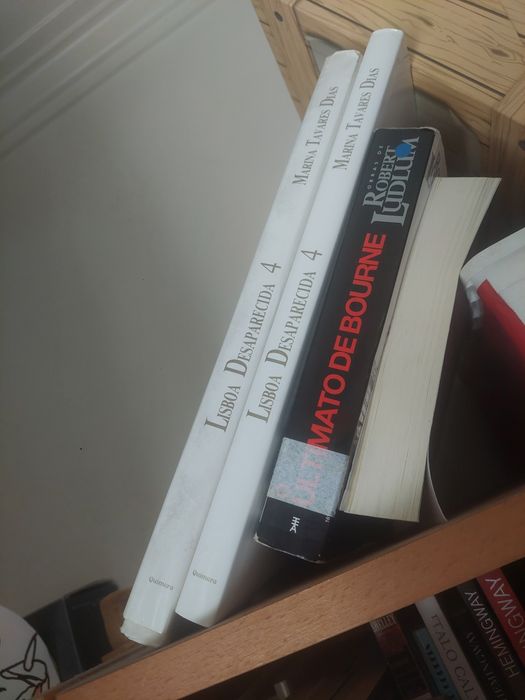 Lisboa Desaparecida
Volume 1-9 maria tavares dias  colecção
Volume 4
d