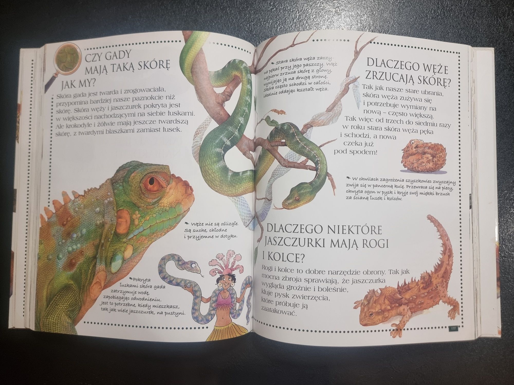 Ciekawe dlaczego encyklopedia zwierząt