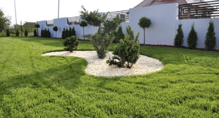 PROMOCJA 40 M2 Trawa w rolce, trawa z rolki, trawa, TRAWNIK POLSKI