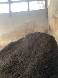 Czarnoziem, bio kompost, humus, ziemia ogrodowa, wyrowanie terenu