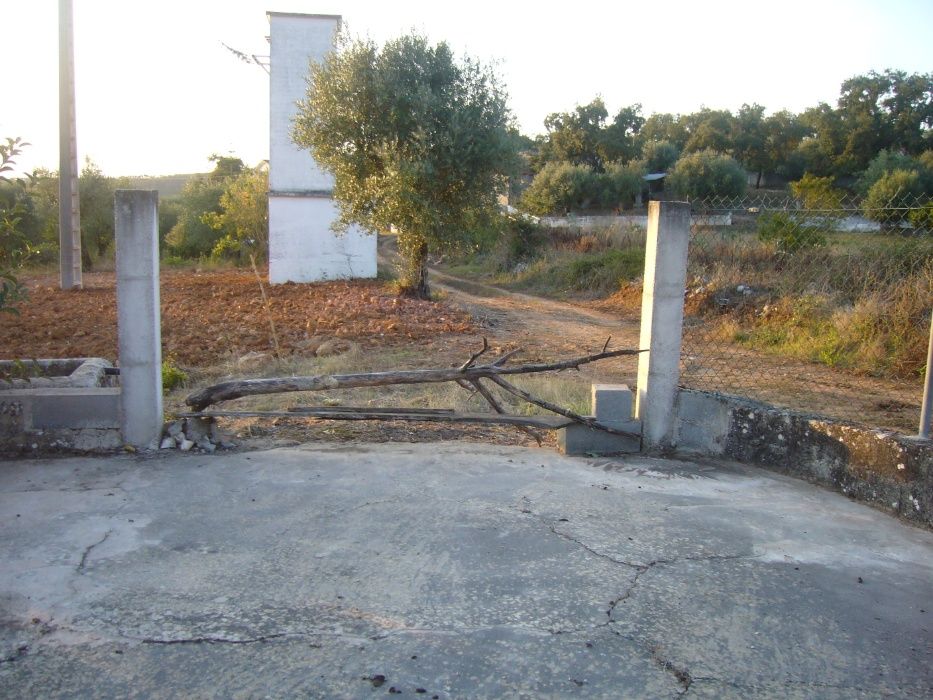 CASA c/ Terraço e c/Terreno, Arvores de Fruto e Olival