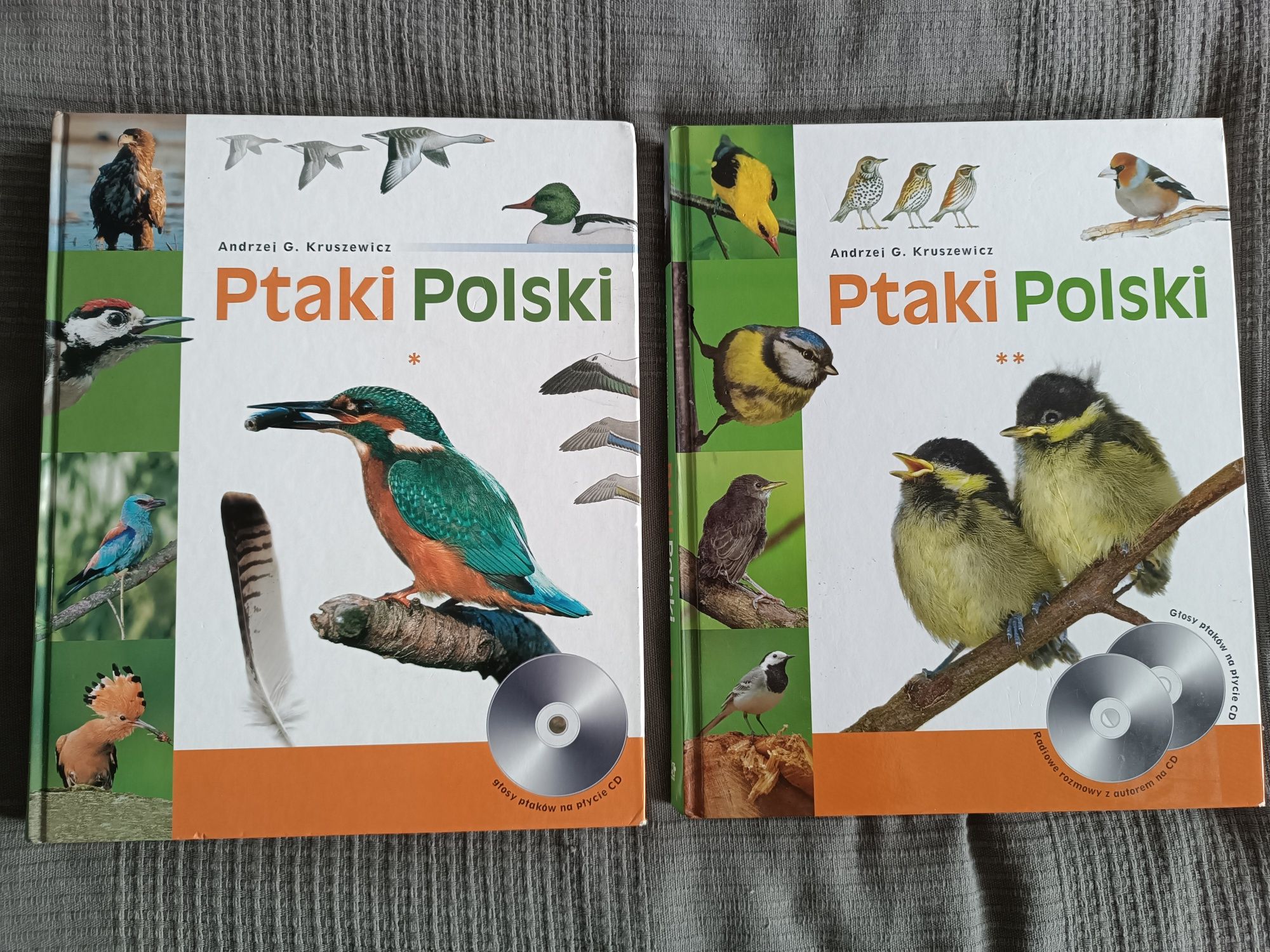 Ptaki Polski Andrzej Kruszewicz