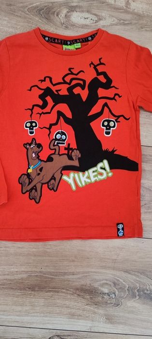 Bluzka Scooby Doo, Halloween r. 110 Cool Club