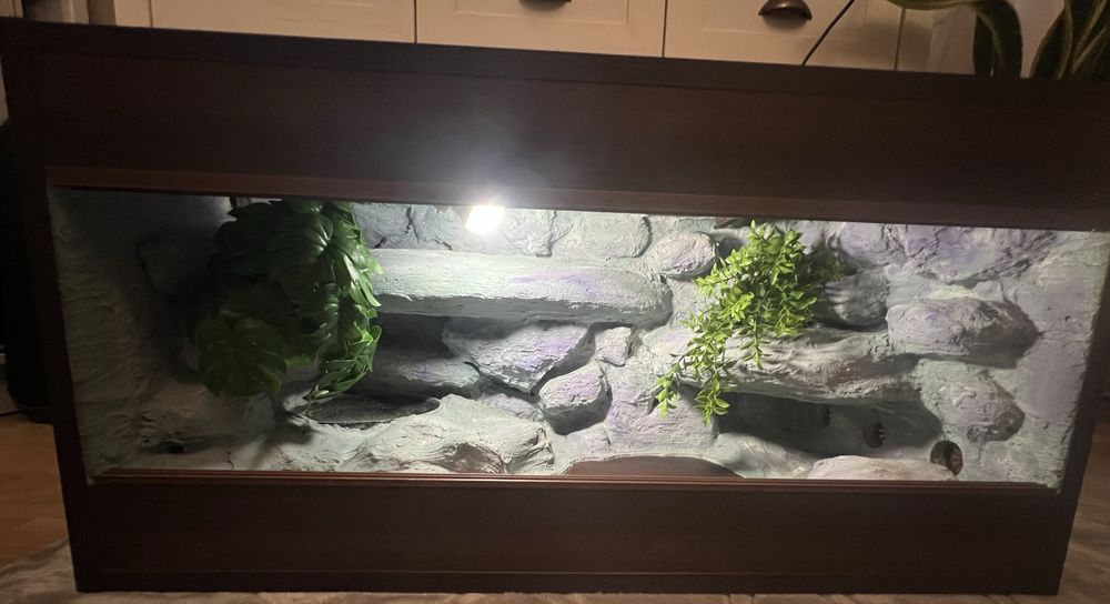Terrarium 80x40x40