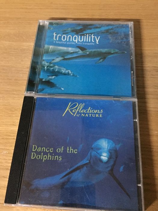 Cd refletion of the Dolphins