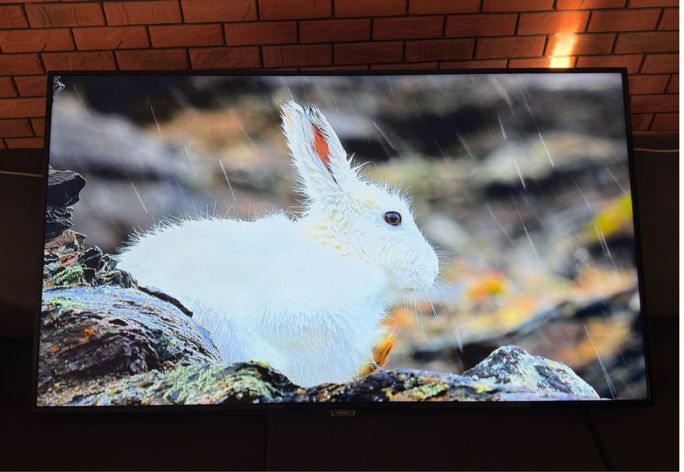 Telewizor LED Philips 65 cali 4K Netlix, Youtube
