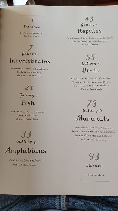 Animalium curated by Katie Scott and Jenny Broom