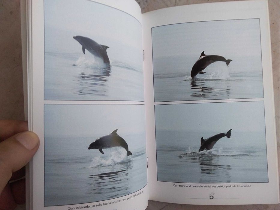 O Roaz-Corvineiro do Estuário do Sado