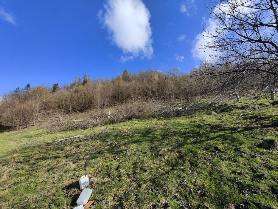 Działka 6500 m2 z przepięknym widokiem na jezioro i góry Tresna