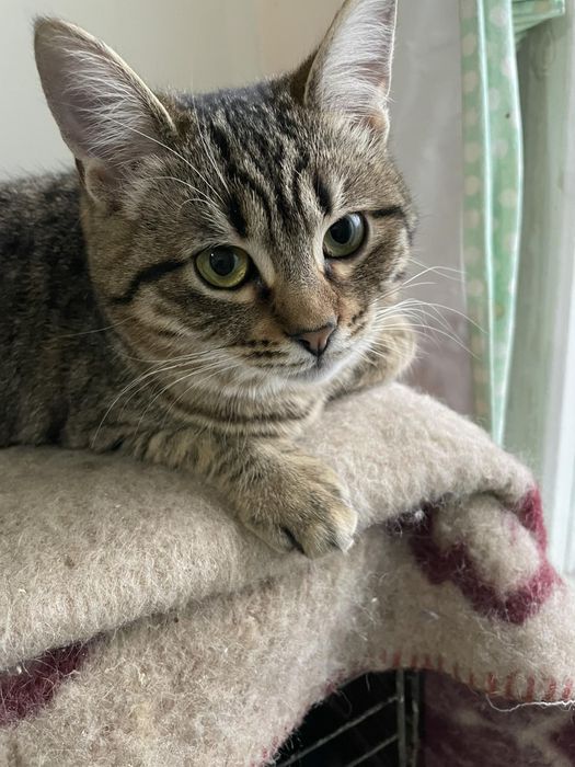 Ніжна Люсі - любов з першого погляду!!