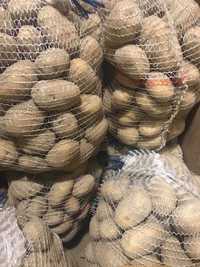 Ziemniaki Tajfun kalibrowane jadalne i jak sadzeniaki