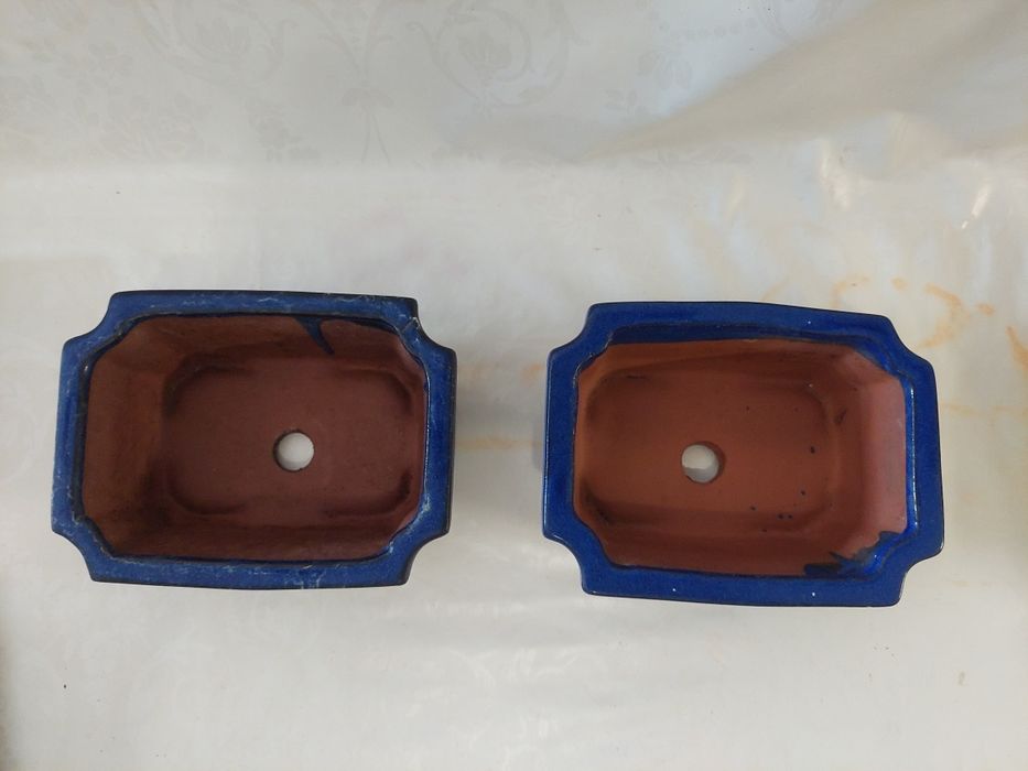 Vasos de bonsai e placas