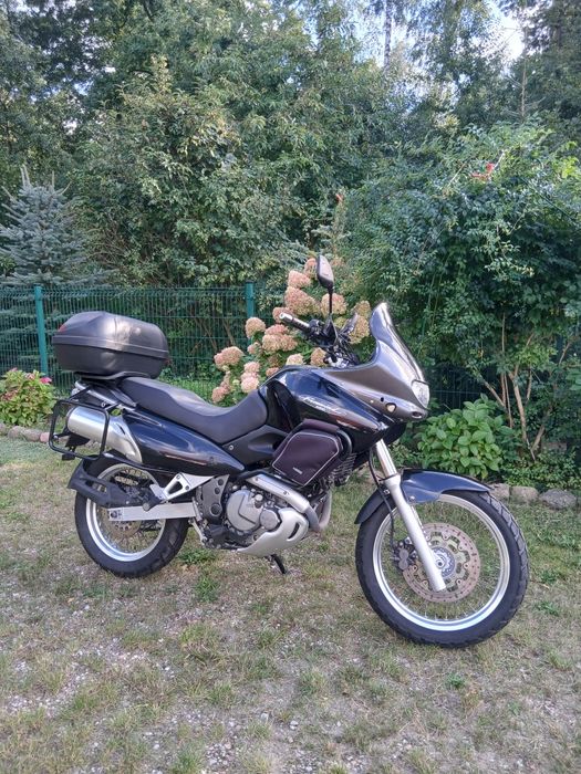 Suzuki xf 650 Freewind