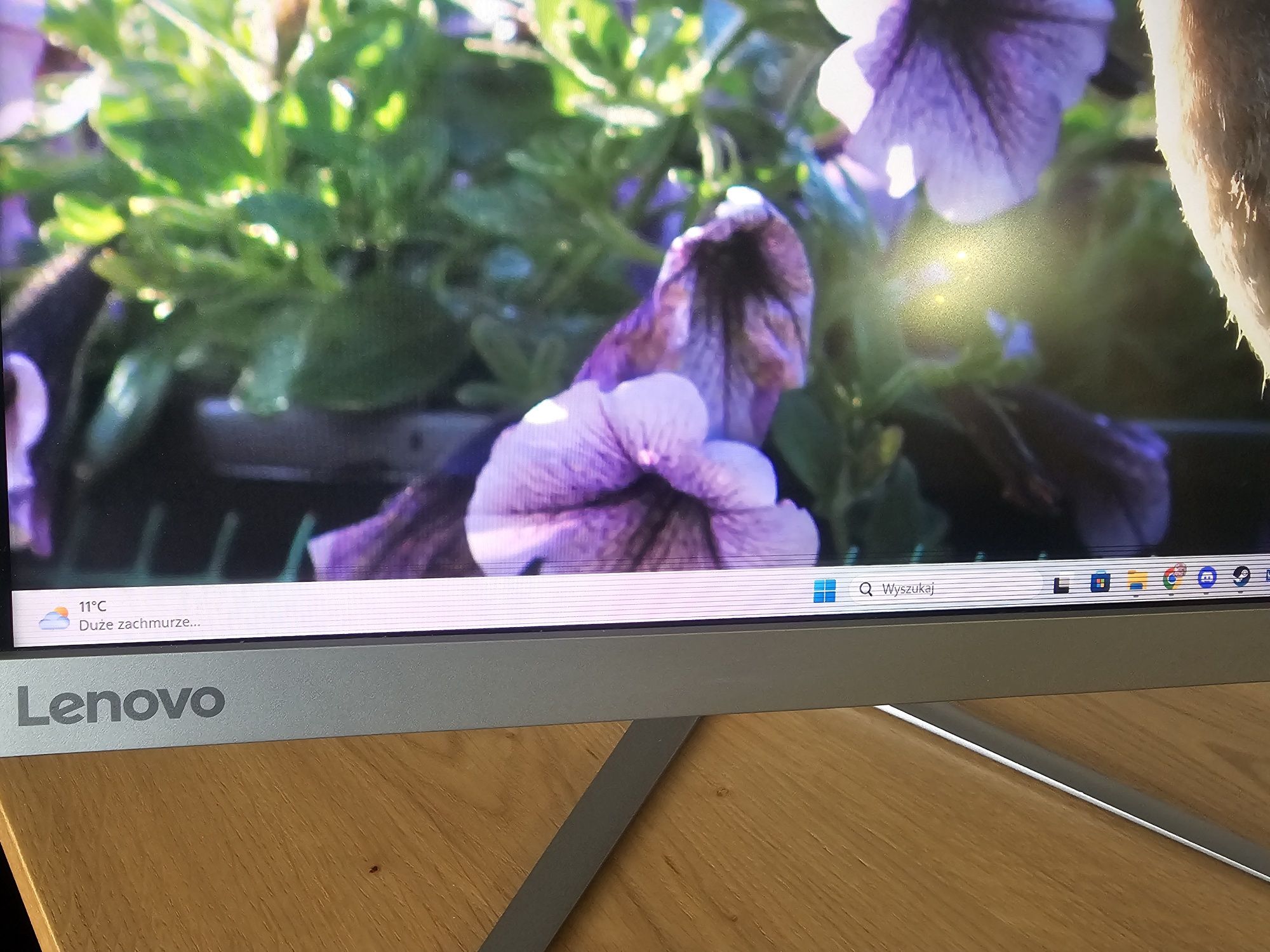 Monitor 24" Lenovo 2K 2560x1440p