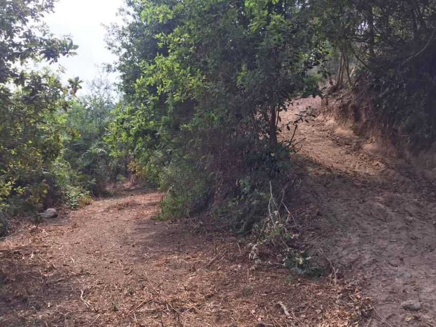 !! Terreno de construção em Caldelas, Amares !!